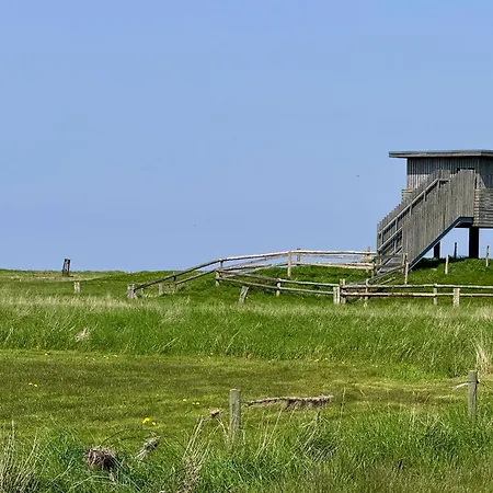 Whg 16 Cappel-Neufeld